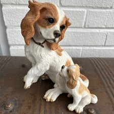 Large cavalier king for sale  BIRMINGHAM