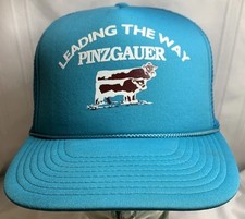 Leading way pinzgauer for sale  Blountville