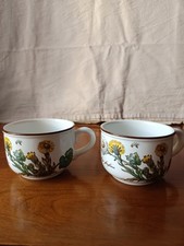 Tasses botanica villeroy d'occasion  Cannes