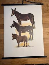 Esel haustier rollkarte gebraucht kaufen  Hürth