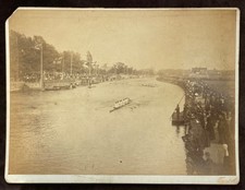 Oxford rowing regatta for sale  CHRISTCHURCH
