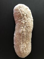 White mushroom coral for sale  San Diego