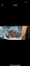 28g fish tank for sale  Lindenhurst