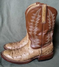 Vintage logan ostrich for sale  Marshalltown