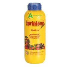 Sprintene plus 1 usato  Barrafranca
