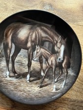 First steps horse for sale  SITTINGBOURNE