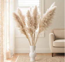 Inch stems natural for sale  Youngstown