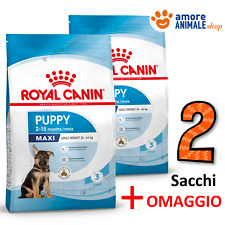 Sacchi royal canin usato  Serra de Conti