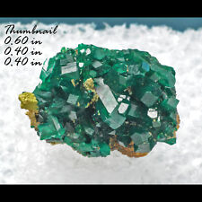 Dioptase mottramite okatumba for sale  Sandy