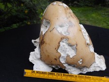Kalkstein geschliffen gebraucht kaufen  Ebertsheim