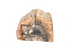 Petrified wood bookend for sale  Anchorage
