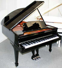 Flügel klavier steinway gebraucht kaufen  Egestorf