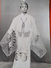 Rppc japan geisha for sale  OKEHAMPTON