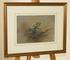 John naylor ornithological for sale  HARROGATE