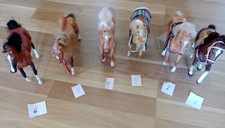 Grand champion pferde gebraucht kaufen  Schöllkrippen