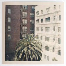 Nyc palm buildings d'occasion  Expédié en Belgium