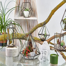 Terrarien glas messing gebraucht kaufen  Versand nach Germany