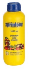 Sprintene plus bio usato  Cerignola