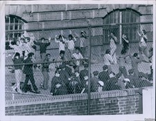 1971 photo prisoners for sale  Germantown