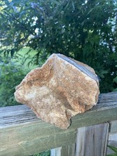 Texas petrified fossil for sale  Azle