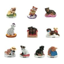 Puppies and kittens d'occasion  Expédié en Belgium