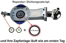 Reparatursatz dichtung komplet gebraucht kaufen  Welver