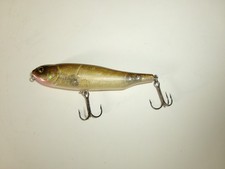 Body 2000 giant for sale  Lake Delton