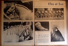 Document salon agriculture d'occasion  Beaumont-de-Lomagne