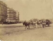 Marseille attelage chevaux d'occasion Marseille attelage chevaux d'occasion  Paris V