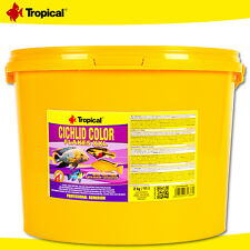 Tropical ciclide color usato  Spedire a Italy