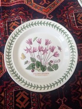 Portmeirion botanical garden for sale  CAMBRIDGE