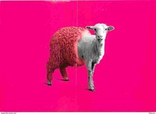 Animaux moutons cpm d'occasion  Fruges