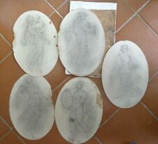 Antico disegno ovale usato  Cremona