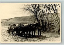 12101842 bauernwagen chsen gebraucht kaufen 12101842 bauernwagen chsen gebraucht kaufen  Eimeldingen