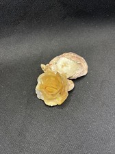 Seashell porte bijoux d'occasion  Castelnau-le-Lez