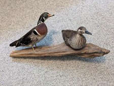 Vintage captive raised for sale  Farmington