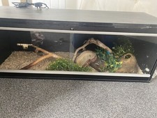 Vavarium for sale  SOUTHAMPTON