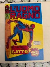 Uomo ragno con usato  Rivoli
