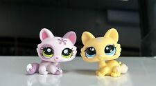Lote 2 Little Pet gato agachado fofo #1628 #1096 brinquedo colecionável menina fofo presente comprar usado  Enviando para Brazil