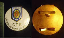 Insigne militaire cie d'occasion  Meung-sur-Loire