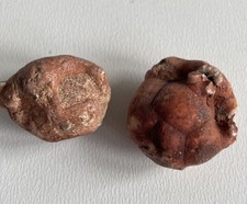 Neoplatycrinus dilatatus crino gebraucht kaufen  Hamburg