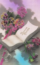 Bonne annee livre d'occasion  Vasles