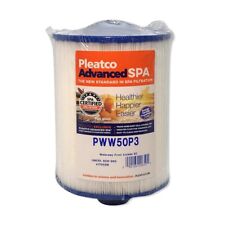 Pleatco pww50p3 filtro usato  Spedire a Italy