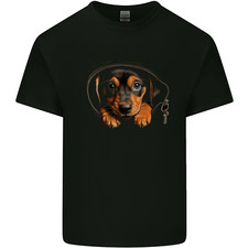 Dachshund puppy pocket for sale Dachshund puppy pocket for sale  COVENTRY