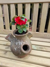 Vintage terracotta strawberry for sale  SOUTHAM