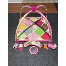 Infantino sweet safari for sale  Charlotte