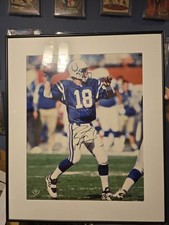 Peyton manning 16x20 for sale  Holt