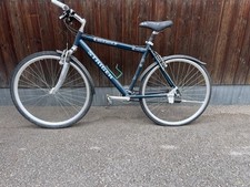 Herren trekking fahrrad gebraucht kaufen  Bad Dürrheim