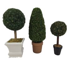 Table top boxwood for sale  Texarkana