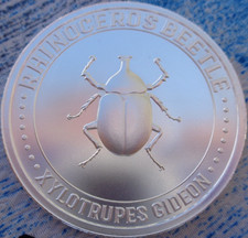 Oz. rhinoceros beetle for sale  Temecula
